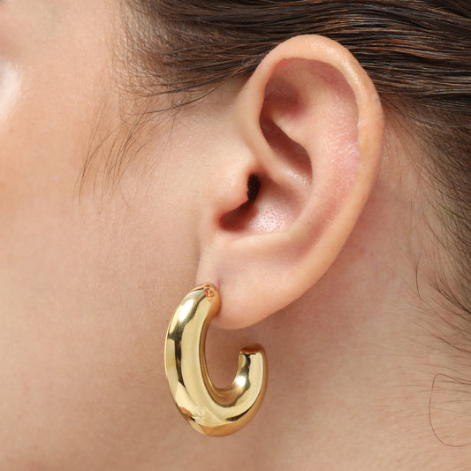 Glint Shine Earrings